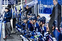 Eishockey, Herren, DEL, Saison 2021-2022, Panther, 21.12.2021