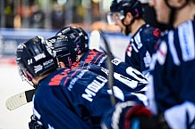 Eishockey, Herren, DEL, Saison 2021-2022, 25. Spieltag, Straubing Tigers - Augsburger Panther,  20.02.2022