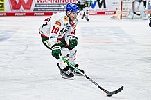 Eishockey, Herren, Penny DEL, 34. Spieltag, Saison 2023-2024, Straubing Tigers - Augsburger Panther,03.01.2024