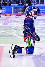 Eishockey, Herren, Penny DEL, DEL, Saison 2022-2023, Playoffs, Viertelfinale, Spiel 3, Straubing Tigers - Grizzlys Wolfsburg, 19.03.2023