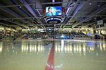 Eishockey, Herren, DEL, Saison 2021-2022, 56. Spieltag, Straubing Tigers - Fishtown Pinguins Bremerhaven,  18.03.2022