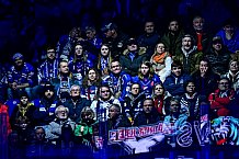 Eishockey, Herren, Penny DEL, 47. Spieltag, Saison 2023-2024, Straubing Tigers - Koelner Haie,18.02.2024