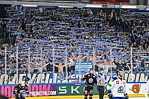 Eishockey, Men, CHL, Champions Hockey League, Regular Saison 2024-25, Game Day 1, Straubing Tigers - SonderjyskE Vojens, 06.09.2024