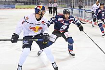 Eishockey, Herren, DEL, Saison 2020-2021, Straubing Tigers - EHC Red Bull München, 22.02.2021