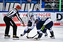 Eishockey, Herren, DEL, Saison 2021-2022, Panther, 17.09.2021