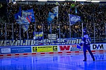 Eishockey, Herren, Penny DEL, 29. Spieltag, Saison 2023-2024, Straubing Tigers - Schwenninger Wild Wings,21.12.2023