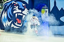 Eishockey, Herren, EHC Straubing U20, Saison 2021-2022, Ehrung, Bayerischer Meister 23.03.2022