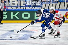 Eishockey, Men, CHL, Champions Hockey League, Regular Saison 2024-25, Game Day 4, Straubing Tigers - Dynamo Pardubice, 15.09.2024