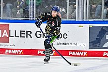 Eishockey, Herren, Penny DEL, 22. Spieltag, Saison 2023-2024, Straubing Tigers - Fischtown Pinguins Bremerhaven,26.11.2023