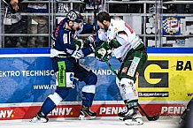 Eishockey, Herren, DEL, Saison 2021-2022, 55. Spieltag, Straubing Tigers - Augsburger Panther,  13.03.2022