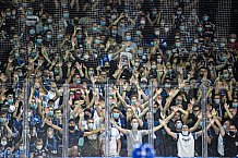 Eishockey, Herren, DEL, Saison 2021-2022, Straubing Tigers - Adler Mannheim, 10.09.2021