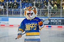 Eishockey, Herren, DEL, Saison 2021-2022, 49. Spieltag, Straubing Tigers - EHC Red Bull München,  27.02.2022