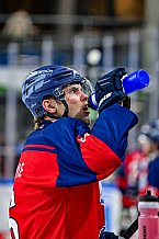 Eishockey, Herren, Penny DEL, 52. Spieltag, Saison 2023-2024, Straubing Tigers - Grizzlys Wolfsburg,08.03.2024