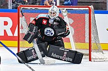 Eishockey, Men, CHL, Champions Hockey League, Regular Saison 2024-25, Game Day 1, Straubing Tigers - SonderjyskE Vojens, 06.09.2024