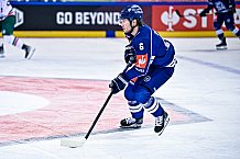 Eishockey, Herren, CHL, Champions Hockey League, Saison 2022-2023, Achtelfinale, Straubing Tigers - Frölunda HC Göteborg, Rückspiel, 22.11.2022