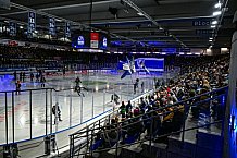 Eishockey, Herren, Penny DEL, 17. Spieltag, Saison 2023-2024, Straubing Tigers - EHC Red Bull Muenchen,03.11.2023