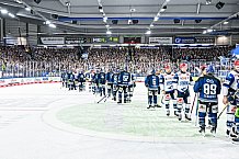 Eishockey, Herren, Penny DEL, Playoffs, Viertelfinale, Spiel 7, Saison 2023-2024, Straubing Tigers - Schwenninger Wild Wings,30.03.2024