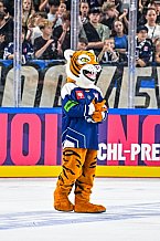 Eishockey, Men, CHL, Champions Hockey League, Regular Saison 2024-25, Game Day 1, Straubing Tigers - SonderjyskE Vojens, 06.09.2024