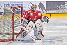 Herren, Eishockey, Oberliga-Süd, Saison 2021-2022, Playoffs, Spiel 2, Deggendorfer SC - EC Hannover Indians,  19.03.2022