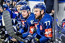 Eishockey, CHL, Champions Hockey League, 3. Spieltag, Saison 2022-2023, Gruppe F, Straubing Tigers - Comrach Cracovia, 09.09.2022