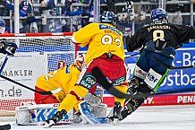 Eishockey, Herren, Penny DEL, 20. Spieltag, Saison 2023-2024, Straubing Tigers - Duesseldorfer EG,19.11.2023