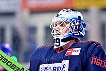 Eishockey, Herren, Penny DEL, DEL, Saison 2022-2023, Hauptrunde, Straubing Tigers - Bietigheim Steelers, 33. Spieltag, 20.12.2022