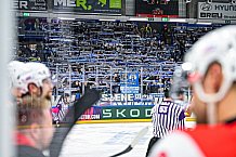 Eishockey, Men, CHL, Champions Hockey League, Regular Saison 2024-25, Game Day 4, Straubing Tigers - Dynamo Pardubice, 15.09.2024