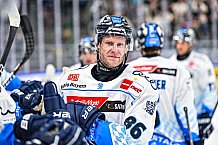 Eishockey, Herren, Penny DEL, Saison 2024-2024, Vorbereitung, Gäubodencup 2024, Straubing Tigers - ERC Ingolstadt, 29.08.2024