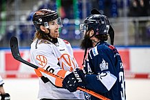 Eishockey, Herren, DEL, Saison 2021-2022, 39. Spieltag, Straubing Tigers - Grizzlys Wolfsburg,  18.02.2022