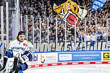 Eishockey, Herren, Penny DEL, Playoffs, Halbfinale, Spiel 4, Saison 2023-2024, Straubing Tigers - Eisbären Berlin, n07.04.2024