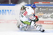 Straubing Tigers - Augsburger Panther