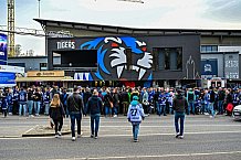 Eishockey, Herren, Penny DEL, Playoffs, Viertelfinale, Spiel 5, Saison 2023-2024, Straubing Tigers - Schwenninger Wild Wings,26.03.2024