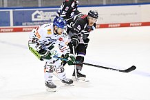 Eishockey, Herren, DEL, Saison 2020-2021, Straubing Tigers - Augsburger Panther, 03.03.2021