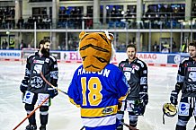 Eishockey, Herren, DEL, Saison 2021-2022, 49. Spieltag, Straubing Tigers - EHC Red Bull München,  27.02.2022