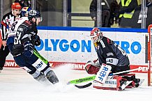 Eishockey, Herren, DEL, Saison 2021-2022, 49. Spieltag, Straubing Tigers - EHC Red Bull München,  27.02.2022