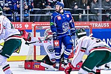 Eishockey, Herren, CHL, Champions Hockey League, Saison 2022-2023, Achtelfinale, Straubing Tigers - Frölunda HC Göteborg, Rückspiel, 22.11.2022