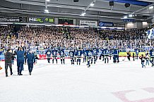 Eishockey, Herren, Penny DEL, Playoffs, Viertelfinale, Spiel 7, Saison 2023-2024, Straubing Tigers - Schwenninger Wild Wings,30.03.2024