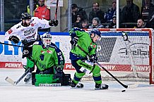 Eishockey, Herren, Penny DEL, DEL, Saison 2022-2023, Hauptrunde, Straubing Tigers - Kölner Haie, 57. Spieltag, 26.02.2023