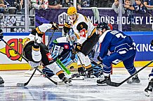Eishockey, Men, CHL, Champions Hockey League, Regular Saison 2024-25, Game Day 2, Straubing Tigers - Skelleftea AIK, 08.09.2024