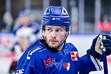 Eishockey, Herren, DEL, Penny DEL, Vorbereitung, Gäubodencup 2023, Saison 2023-2024, Straubing Tigers - Nürnberg Ice Tigers,18.08.2023