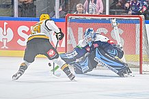 Eishockey, Men, CHL, Champions Hockey League, Regular Saison 2024-25, Game Day 2, Straubing Tigers - Skelleftea AIK, 08.09.2024