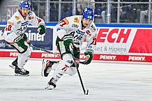 Eishockey, Herren, Penny DEL, 40. Spieltag, Saison 2023-2024, Straubing Tigers - Augsburger Panther,21.01.2024