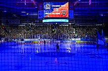 Eishockey, Herren, Penny DEL, 52. Spieltag, Saison 2023-2024, Straubing Tigers - Grizzlys Wolfsburg,08.03.2024
