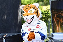 Eishockey, Herren, DEL, Saison 2021-2022, Straubing Tigers, 14.08.2021