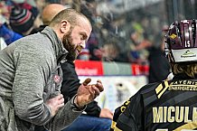 Herren, Eishockey, Oberliga-Süd, Saison 2022-2023, DEB, Deggendorfer SC - EV Herne Miners, Playoff, Viertelfinale, Spiel 4, 04.04.2023