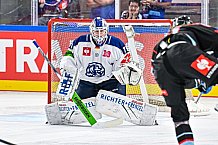 Eishockey, Men, CHL, Champions Hockey League, Regular Saison 2024-25, Game Day 1, Straubing Tigers - SonderjyskE Vojens, 06.09.2024