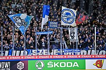 Eishockey, Herren, CHL, Champions Hockey League, Saison 2022-2023, Achtelfinale, Straubing Tigers - Frölunda HC Göteborg, Rückspiel, 22.11.2022