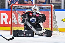Eishockey, Men, CHL, Champions Hockey League, Regular Saison 2024-25, Game Day 1, Straubing Tigers - SonderjyskE Vojens, 06.09.2024