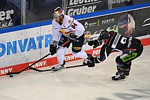 Straubing Tigers - EHC Red Bull München