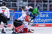 Eishockey, Herren, Penny DEL, DEL, Saison 2022-2023, Hauptrunde, Straubing Tigers - Kölner Haie, 57. Spieltag, 26.02.2023
